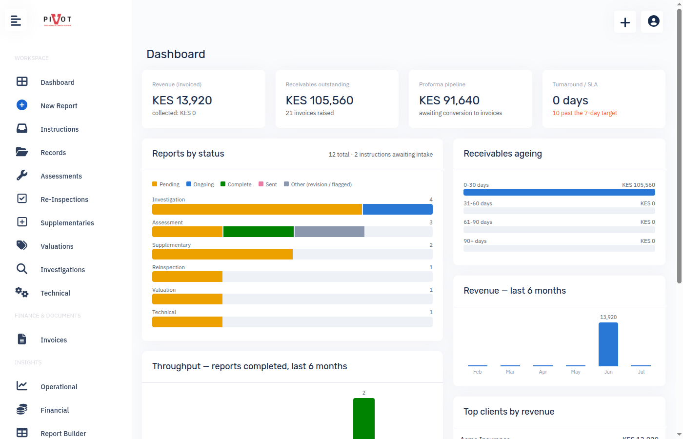Pivot operational dashboard showing report status, revenue and turnaround analytics